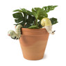 Pothanger slak - keramiek - 9.3x3.4x6.5 cm