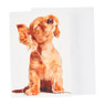 Dubbele wenskaarten love - set van 4