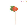 Prikkers zomerfruit - diverse varianten
