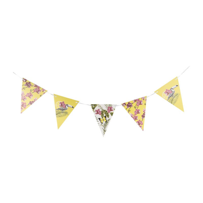Slinger  orchidee  -2,5 meter