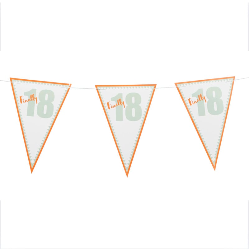 Vlaggenlijn 18 jaar - 10 m