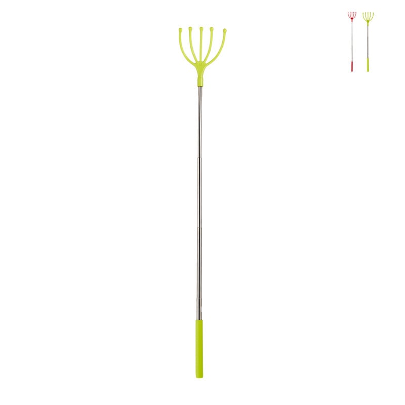 Ruggenkrabber - diverse kleuren - tot 63.5 cm 