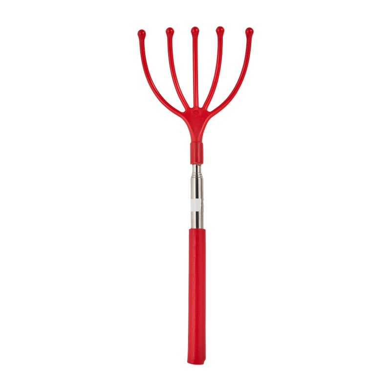 Ruggenkrabber - diverse kleuren - tot 63.5 cm 