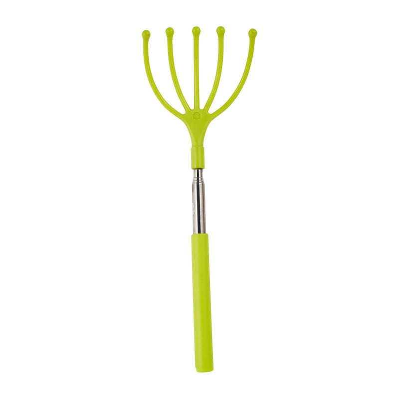 Ruggenkrabber - diverse kleuren - tot 63.5 cm 