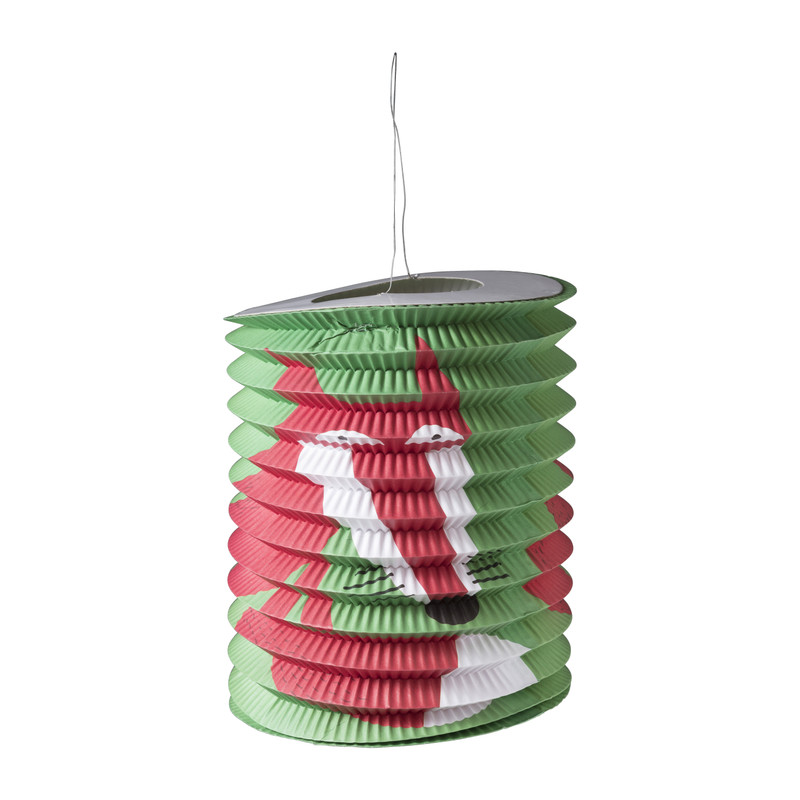 Lampion  dieren - diverse varianten - ⌀20 cm