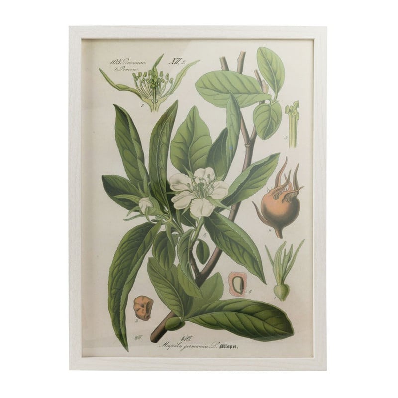 Fotolijst met plantendecoratie - 32x42 cm