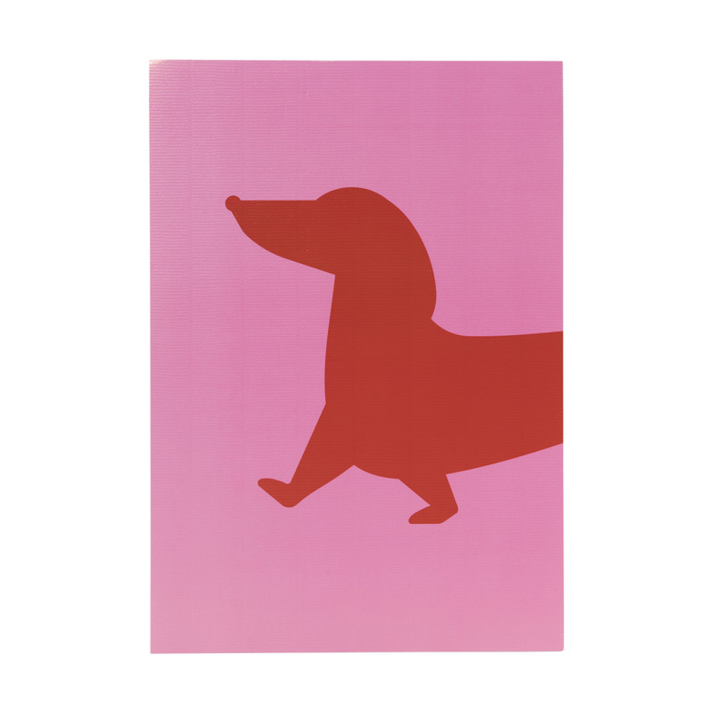 Poster teckel - roze/rood - 21x30 cm