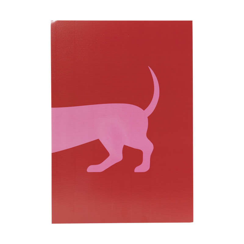 Poster teckel - rood/roze - 21x30 cm