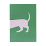 Poster teckel - roze/groen - 21x30 cm