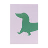 Poster teckel - groen/roze - 21x30 cm