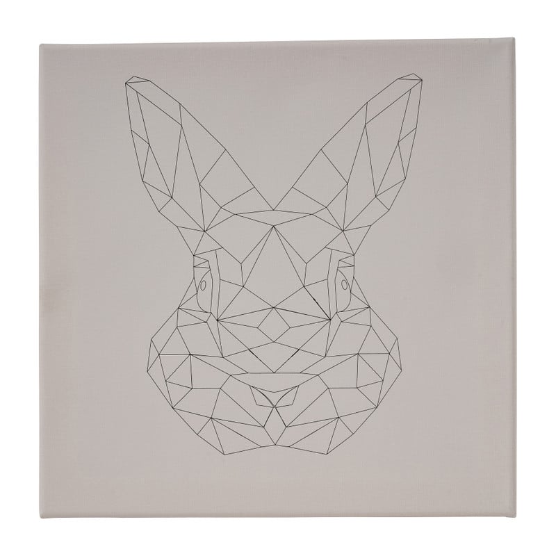 Schildersdoek 3D dieren - diverse varianten - 30x30 cm 