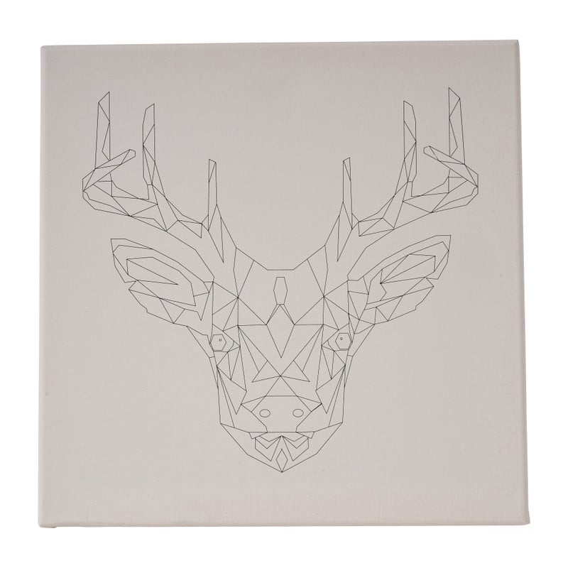 Schildersdoek 3D dieren - diverse varianten - 30x30 cm 