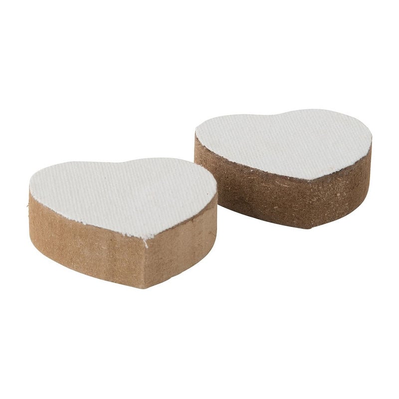 Mini canvas - hart - set van 2