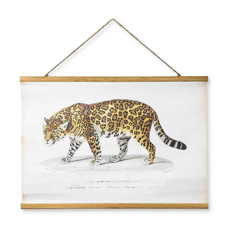 Vintage poster - luipaard - 70 x 50 cm
