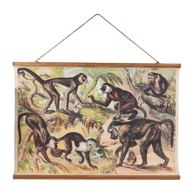 Vintage poster - aapjes - 70x50 cm