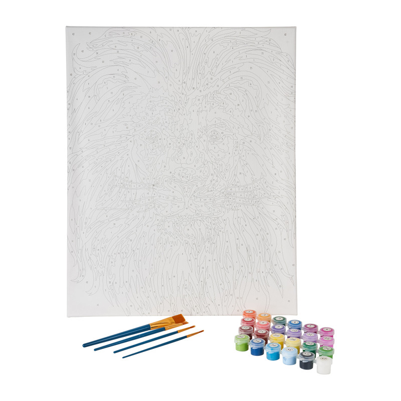 Verven op nummer - leeuw - 51x42x3 cm