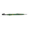 Paraplu groen met print
