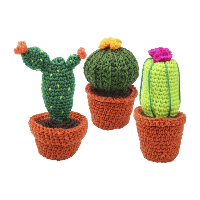 Haakpakket - Cactussen