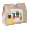 Haakpakket - Cactussen