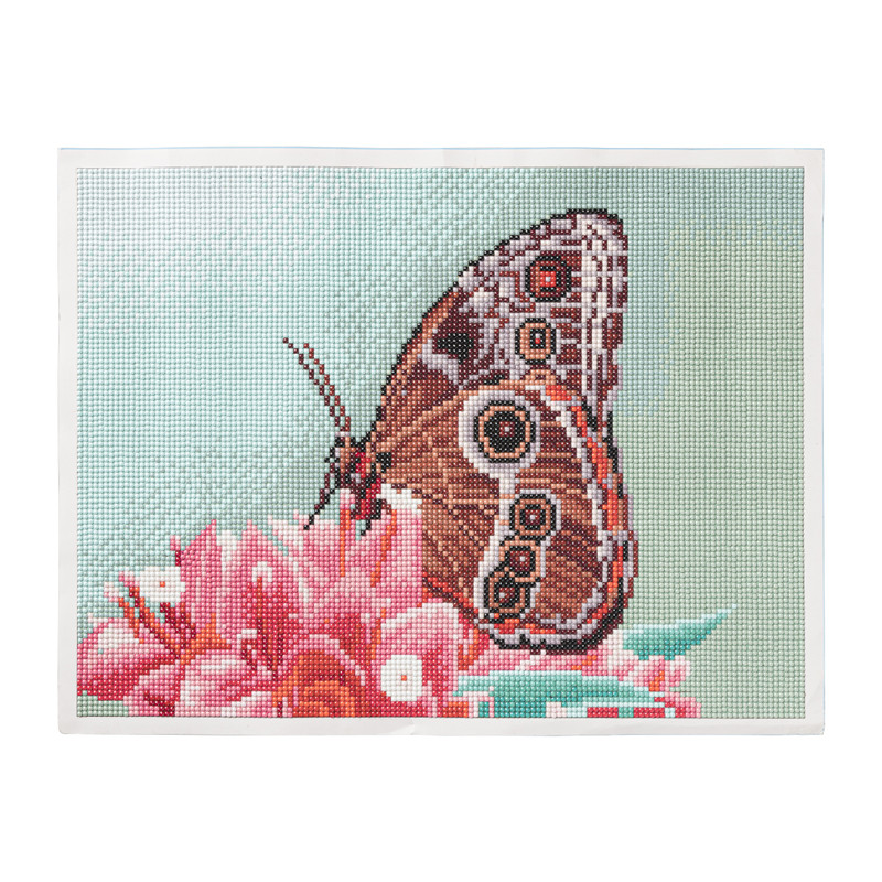 Diamond painting - gekleurde vlinder - 40x30 cm