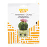Haakpakket cactus DIY - groen