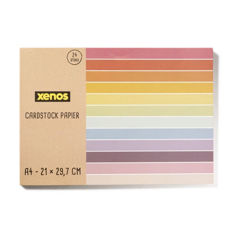 Gekleurd cardstock papier A4 - set van 24