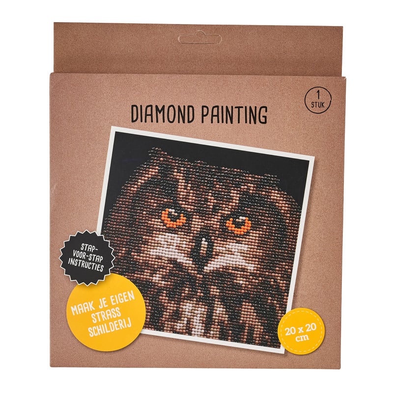 Diamond painting uil - 20x20 cm 