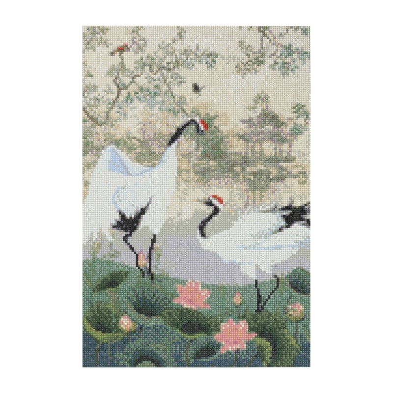 Diamond painting XL - kraanvogel - 45x30 cm 