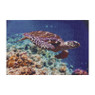 Diamond painting XL - schilpad - 45x30 cm 