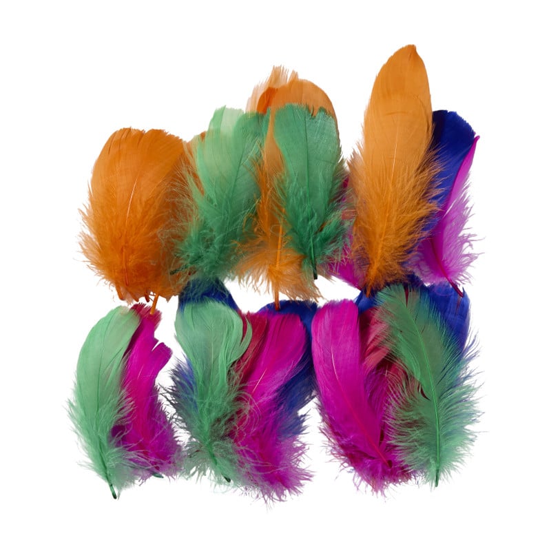 Veren - multikleur - set van 50 - diverse varianten