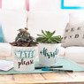 Edding porseleinstiften - set van 4 - zwart/geel/blauw/groen