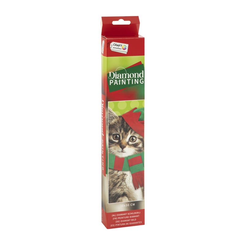 Diamond painting - kerst kat - 30x30 cm 
