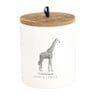 Geurkaars giraffe in pot - Fougere & musk