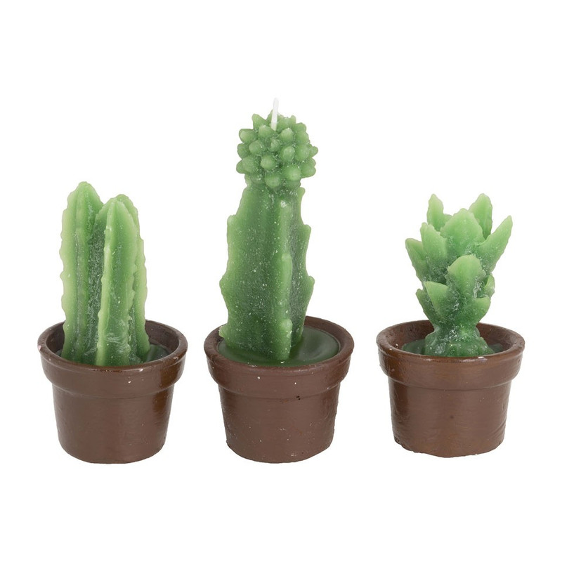 Cactus kaars - set van 3