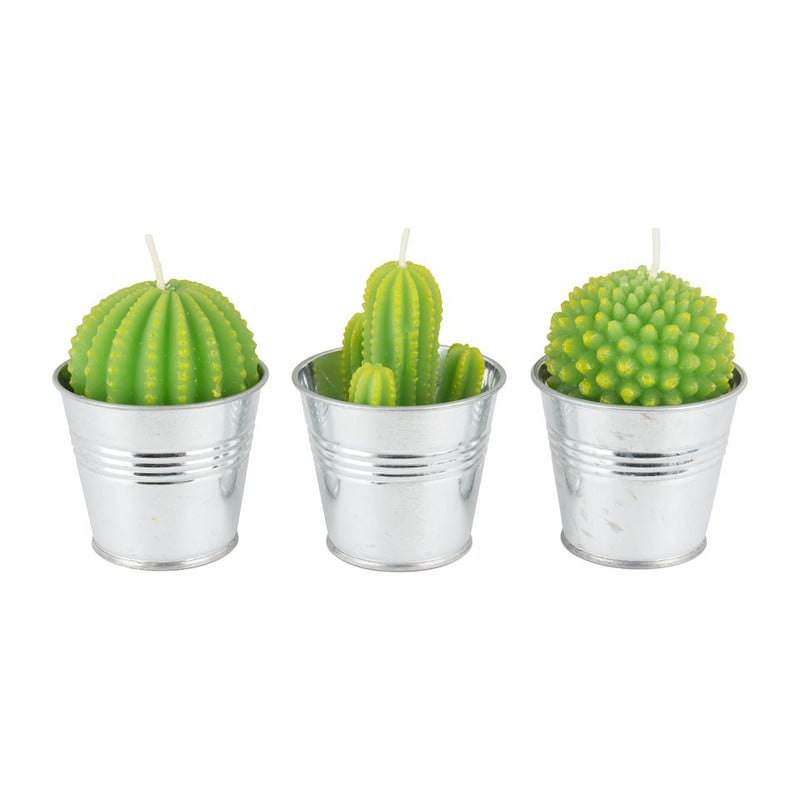 Cactus kaars in emmertje