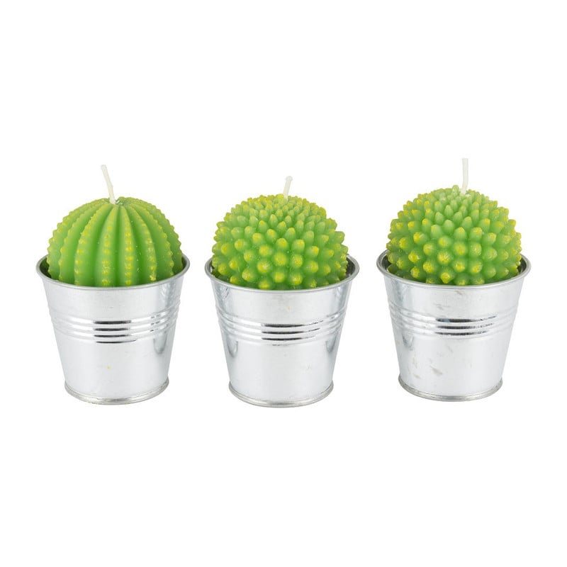 Cactus kaars in emmertje