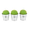 Cactus kaars in emmertje