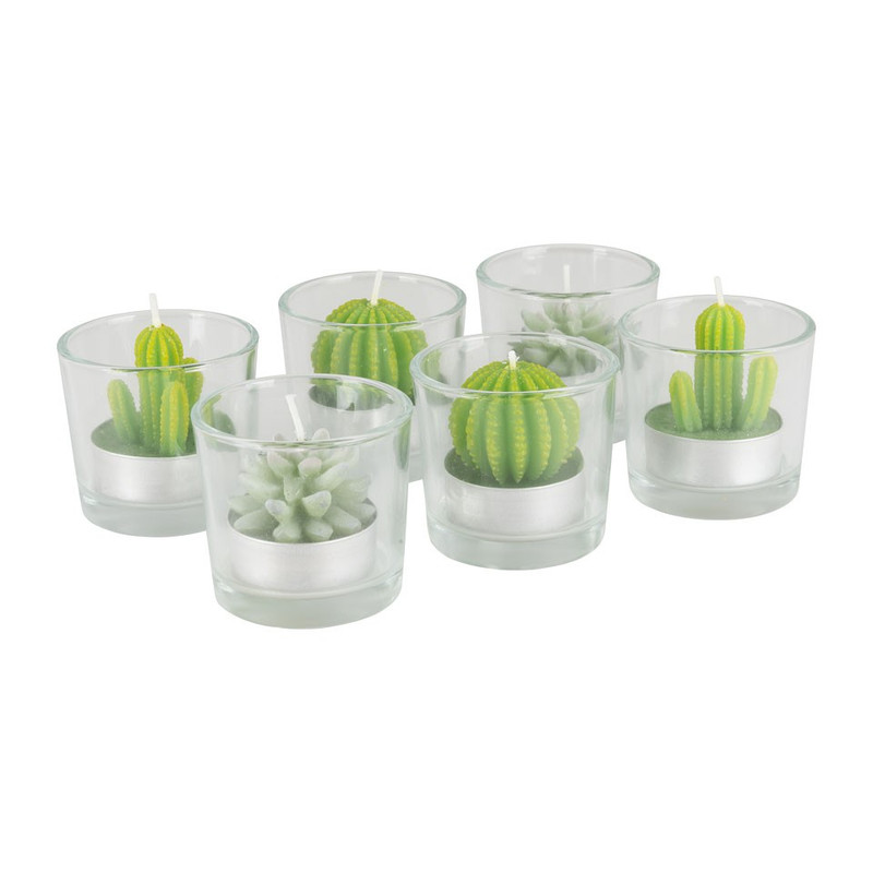 Cactus kaars in glas