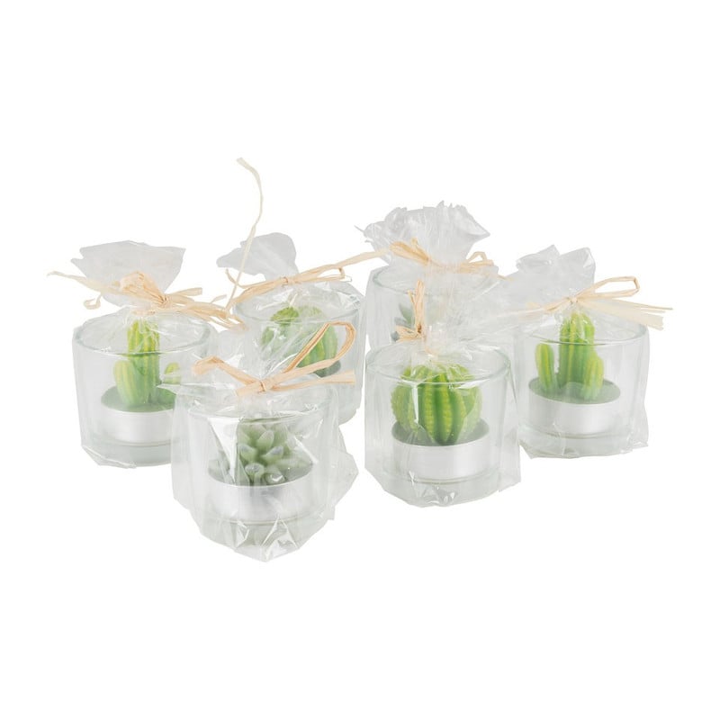 Cactus kaars in glas