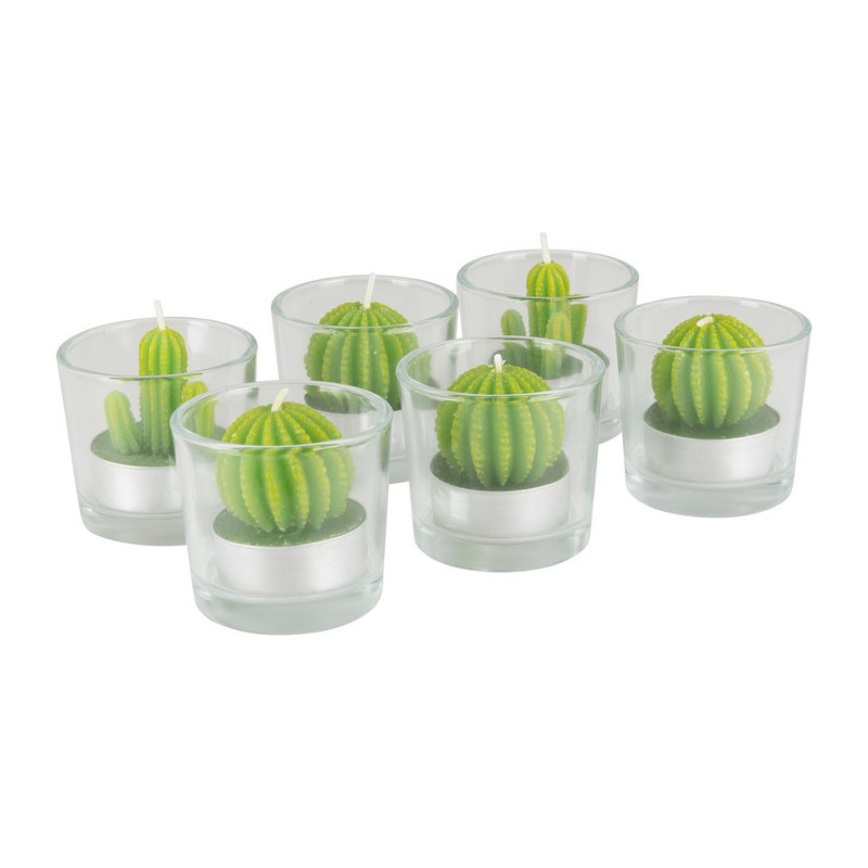 Cactus kaars in glas
