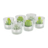 Cactus kaars in glas