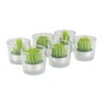 Cactus kaars in glas