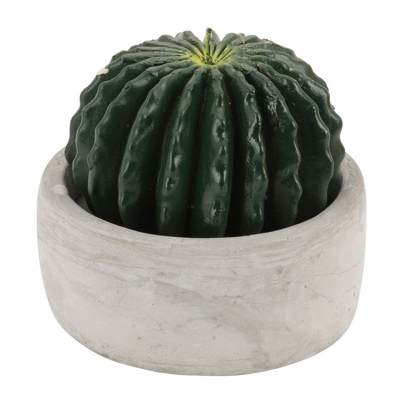 Cactus kaars in pot groot - Ø12x11cm