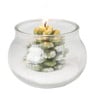 Kaars in glas dennenappel - diverse kleuren - 9x5x6x7 cm  