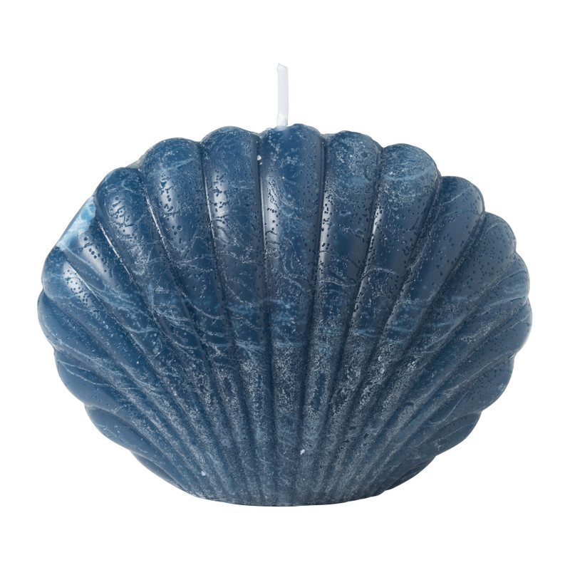 Sierkaars schelp - diverse kleuren - 6.5 cm