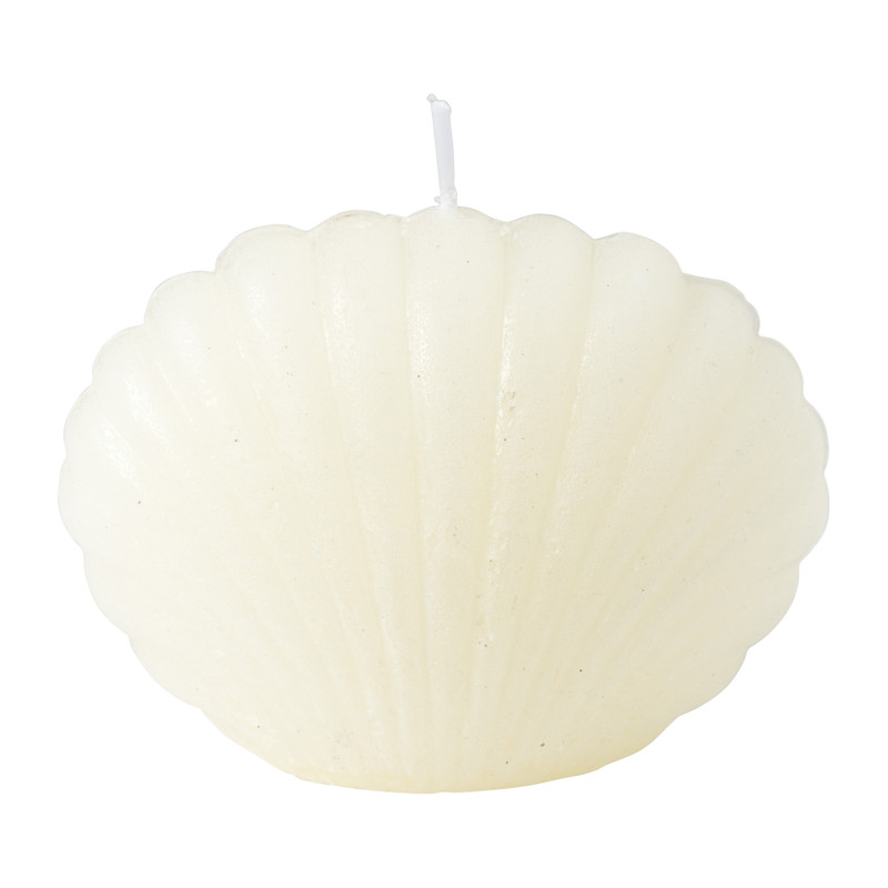 Sierkaars schelp - diverse kleuren - 6.5 cm