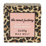 Home scent waxmelts - Wild Honey - 2x20 g