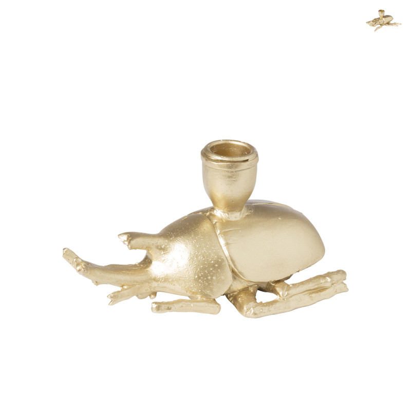 Kandelaar kever - diverse varianten - 9 cm 