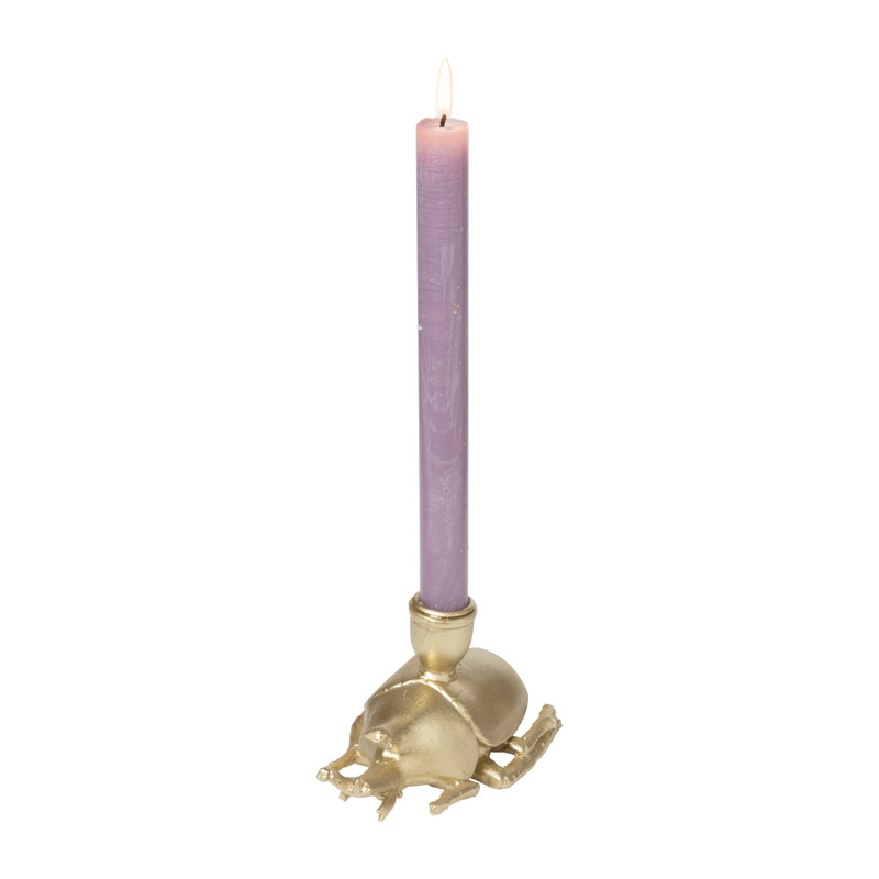 Kandelaar kever - diverse varianten - 9 cm 
