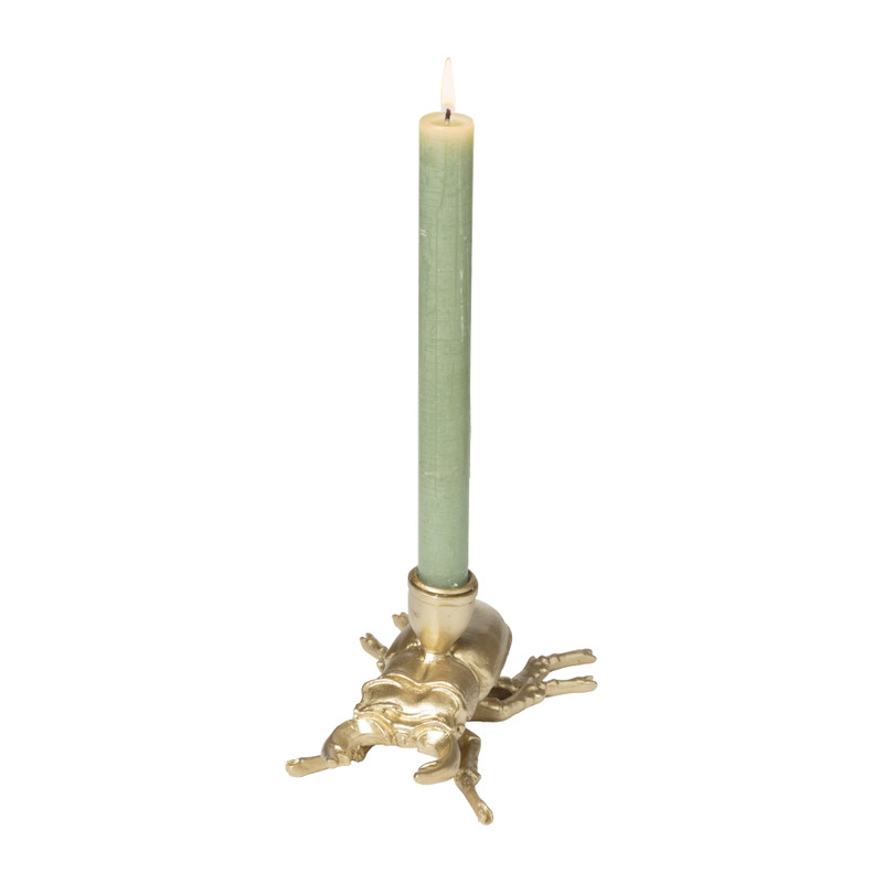 Kandelaar kever - diverse varianten - 9 cm 